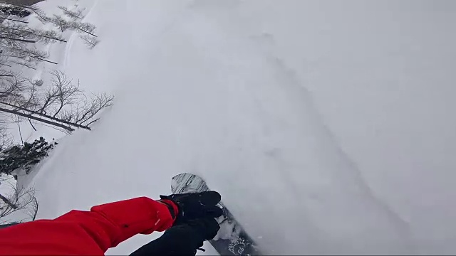 滑雪运动员在粉末上做特技视频素材
