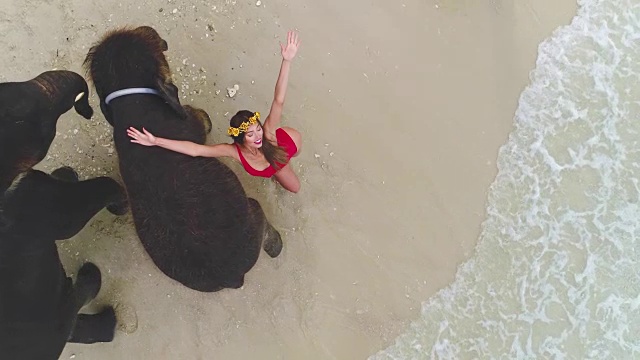 航拍:一个穿着红色泳衣的女孩在海滩上的大象旁边摆姿势。视频素材