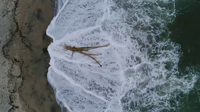 在哥伦比亚泰罗纳国家公园的海滩上，海浪拍打着浮木的无人机镜头视频下载