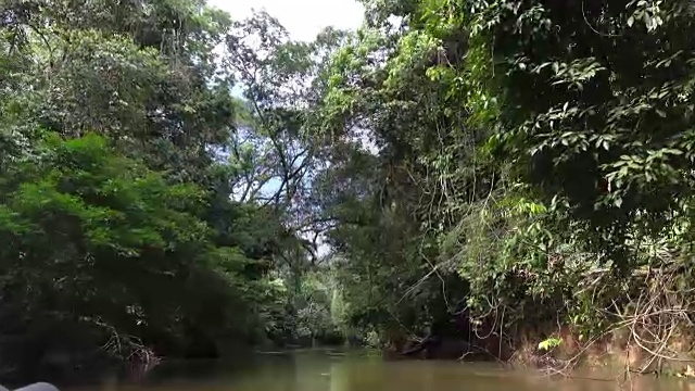 航行在亚马逊盆地的库亚贝诺保护区。视频素材