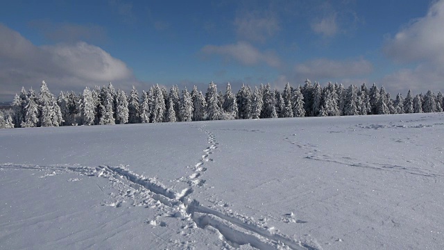 树上和树枝上的霜，冬天，霜，冰晶，冰，瓦瑟库佩，Rhön，黑森，4K视频下载
