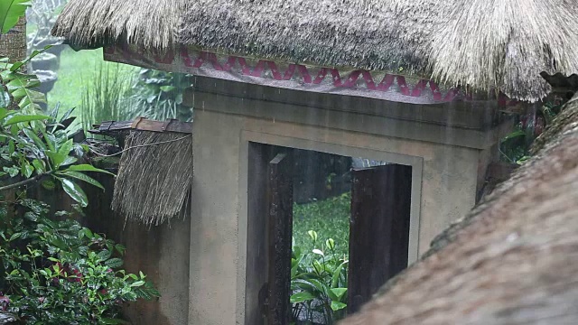 热带夏雨滴落在花园的稻草屋顶上。印尼巴厘岛视频下载