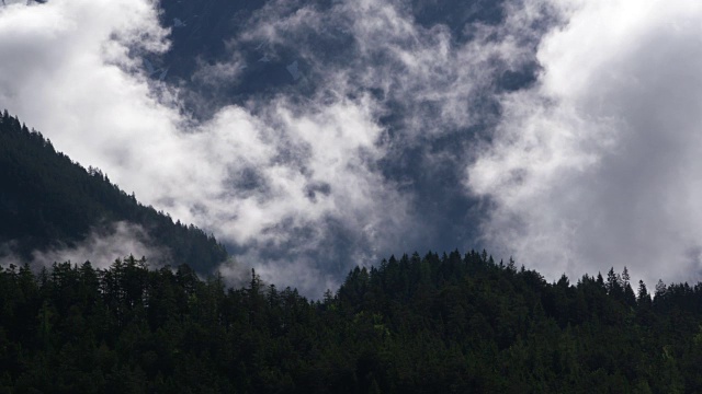 有森林的雾或低云。奥地利蒂罗尔。视频素材