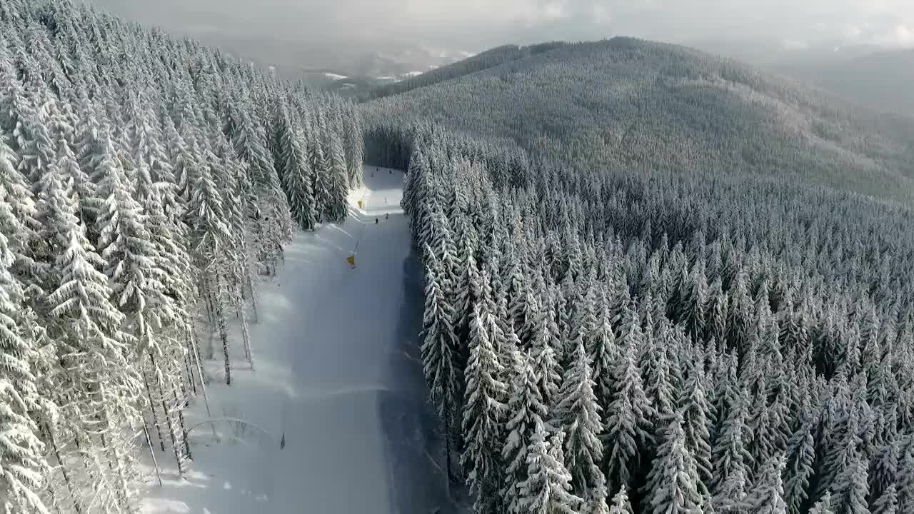 山峰的背景上，白雪覆盖着冷杉树。视频素材