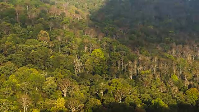森林山的4K时间流逝。缩小的风格视频下载