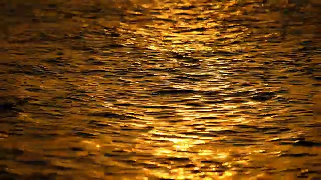 日出时的特写和散焦海面视频素材