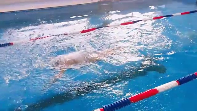 专业游泳运动员在泳池训练。缓慢的运动。视频下载