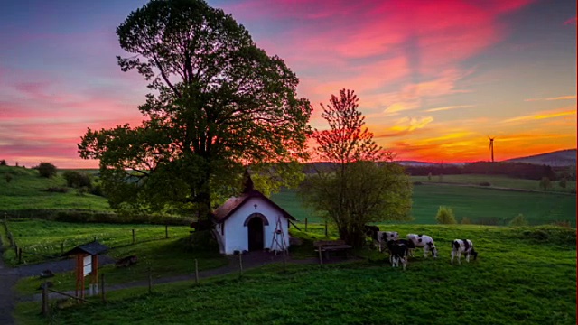 田园诗般的乡村景观与孤独的树下的日落天空视频素材