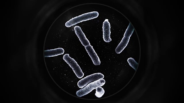 显微镜下的细菌-黑色视频下载