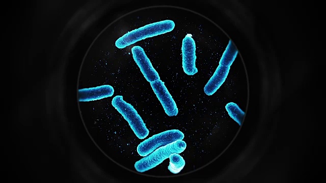 显微镜下的细菌-蓝色视频素材