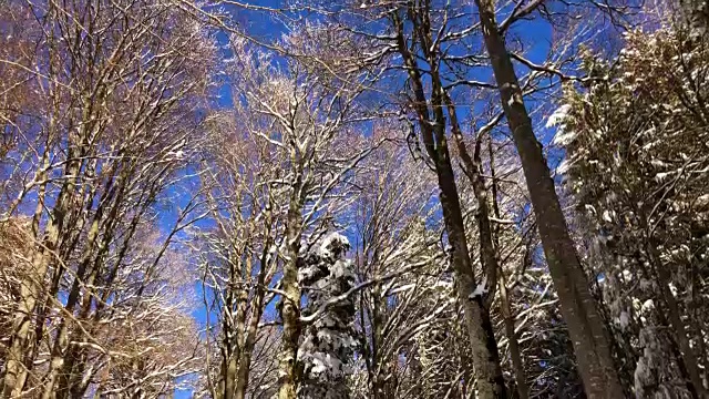 山区的冬天视频素材