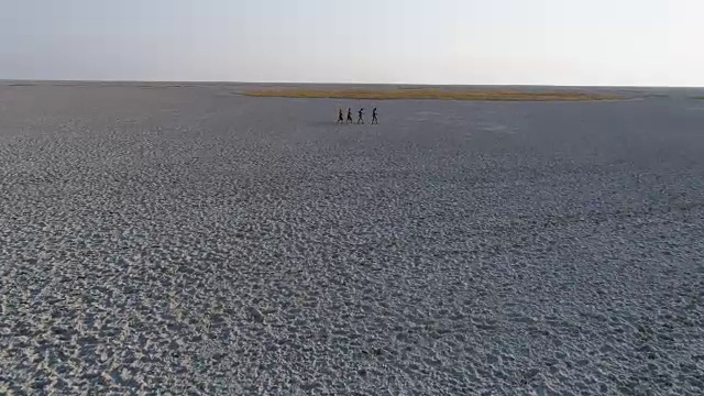 放大高空鸟瞰图，四名圣布须曼人排成纵队穿过博茨瓦纳广阔的Makgadikgadi pan视频素材
