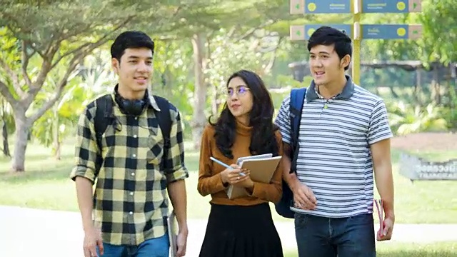 一群年轻快乐的大学生在公园里散步或大学视频素材