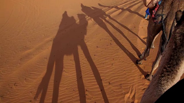 沙漠商队投下了阴影视频素材