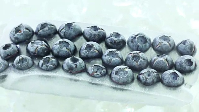 一排一排的冷冻蓝莓视频下载