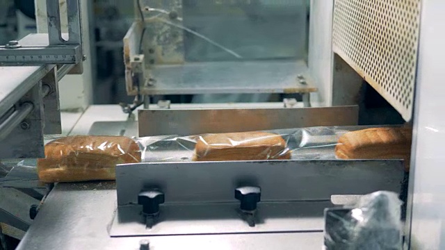 甜面包卷被放在传送带上并被包装。视频素材