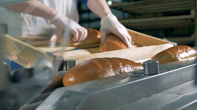 长面包被放在传送带上包装。视频下载