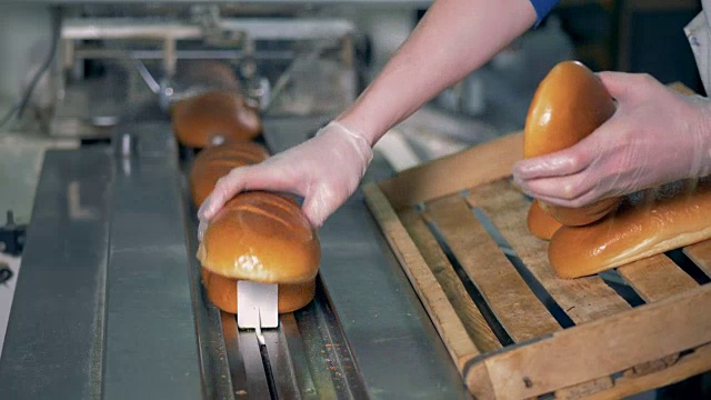 长面包烤面包被放在传送带上包装，左图。视频素材