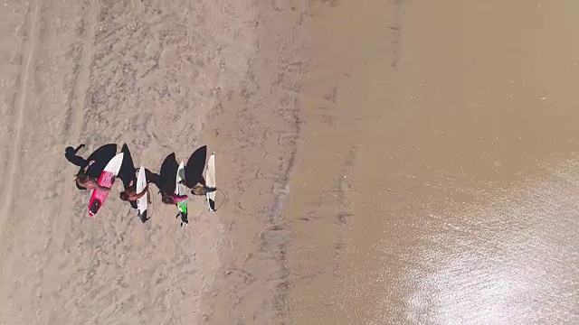 在海滩上散步的冲浪者视频素材