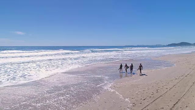 在海滩上散步的冲浪者视频素材