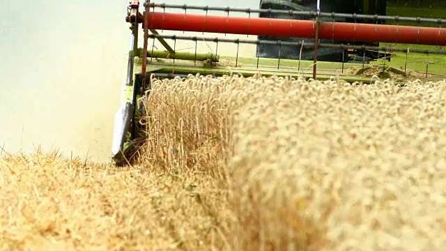 联合收割机收割小麦视频下载
