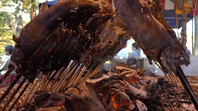摄影:烹饪日本河鱼烧烤视频素材