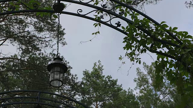 灯笼和树，多云视频素材