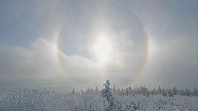 雪覆盖的景观与晕和太阳在冬天，费希特尔伯格山，奥伯维森塔尔，埃尔茨格伯奇，Ore山，萨克森，德国，欧洲视频下载
