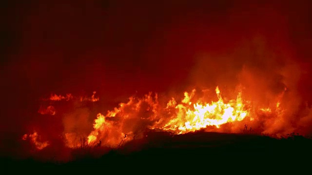 猛烈的丛林大火危及(近距离)视频素材