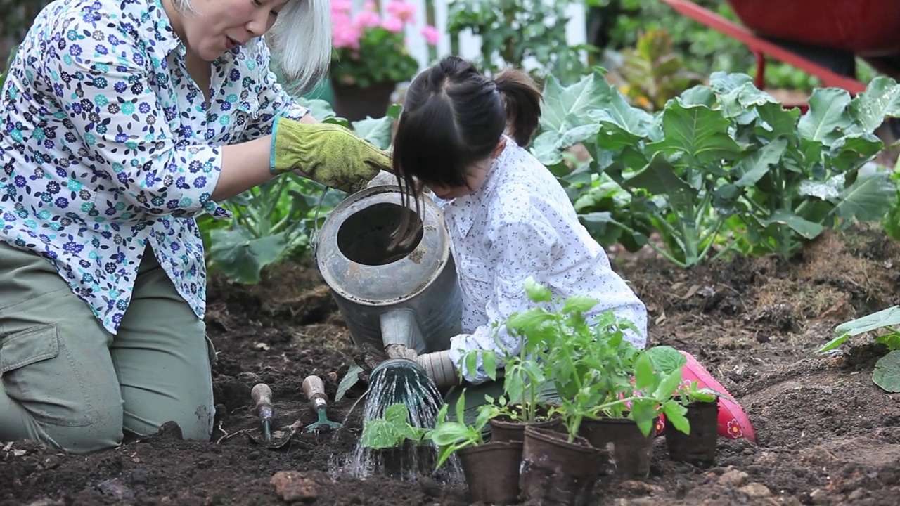 奶奶教孙女在菜园里种黄瓜视频素材