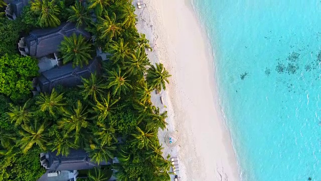 马尔代夫，蓝天，蓝绿色的海，白色的沙子和绿色的棕榈树。视频素材