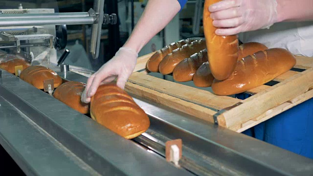 一个工人正在装新鲜烤好的白面包。视频素材