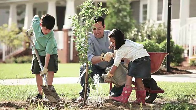 一家人在自家前院种一棵树视频素材