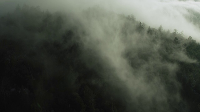 迷雾笼罩在加州的山上视频素材