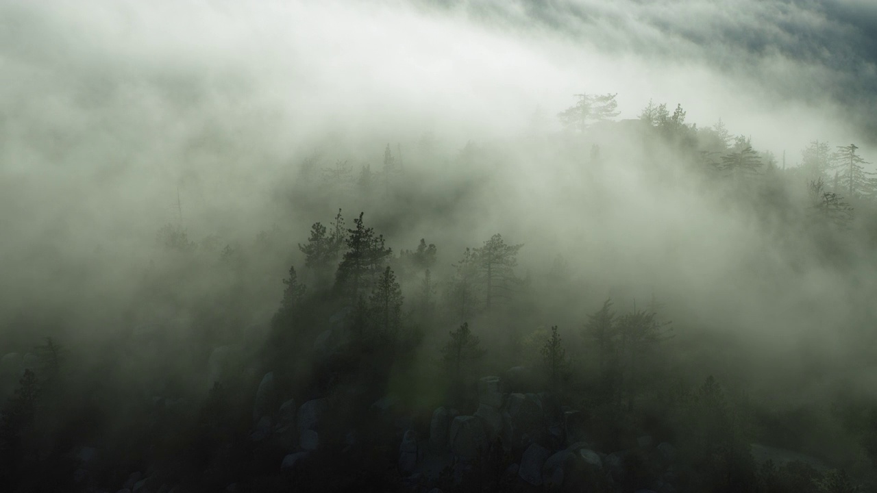 加利福尼亚森林上空的雾视频素材