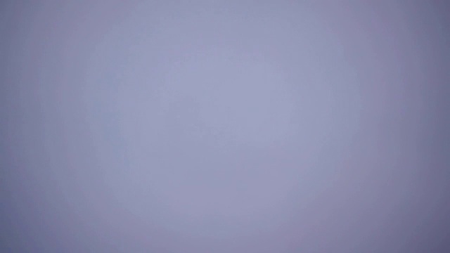 乌鸦鸟飞的慢镜头视频素材