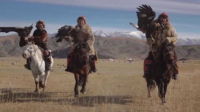 蒙古阿尔泰山，猎鹰人骑着金雕视频下载