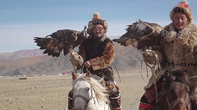 蒙古阿尔泰山，猎鹰人骑着金雕视频素材