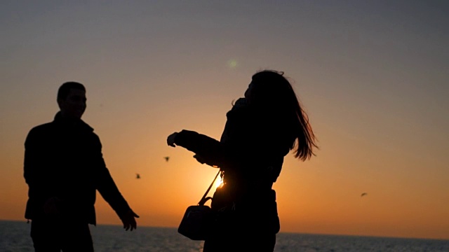 日落时分浪漫情侣的剪影视频素材