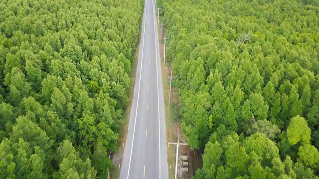鸟瞰图的公路旅行与常青树和红树林在泰国南部视频下载