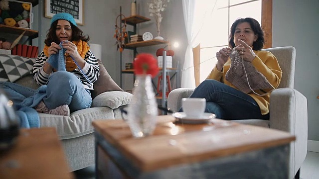 两个女人在家里编织视频下载