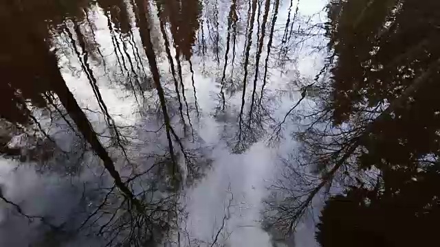 树枝在水面上的倒影。视频下载