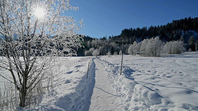 冬季景观靠近Barmsee湖的路径与太阳，Krün, Garmisch-Partenkirchen上巴伐利亚，德国巴伐利亚，欧洲阿尔卑斯山视频下载