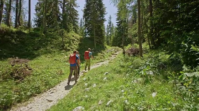 三个徒步旅行者在阳光下走在穿过山林的小路上视频下载
