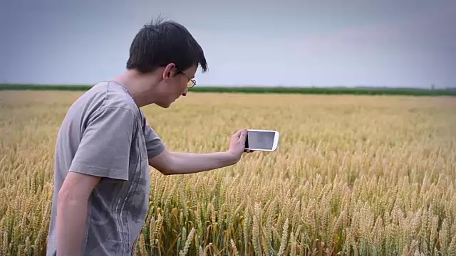 女性农民在麦田里使用智能手机视频下载