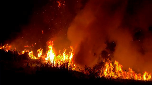 猛烈的丛林大火在夜间危及生命视频素材