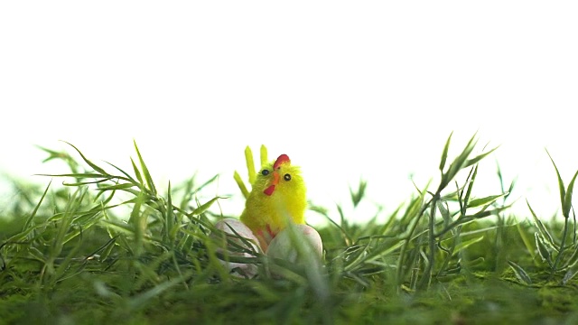三个鹌鹑蛋和玩具鸡在一个转盘在白色的背景视频下载