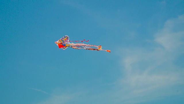 天空中的红色风筝视频下载