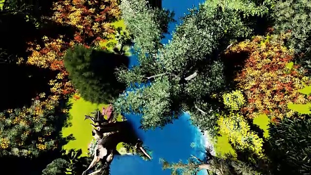 鸟瞰图的河流与美丽的森林视频下载