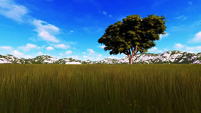 山附近的绿色田野里的一棵树视频素材
